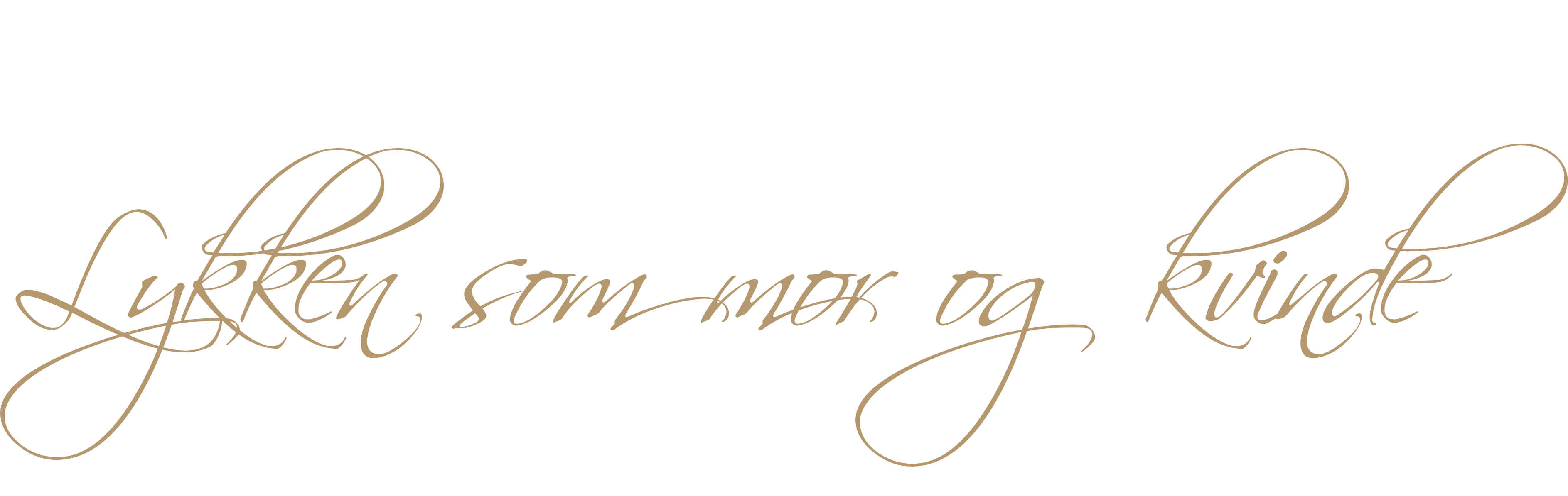 forside-lykkens-overlay